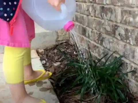 DIY Watering Can