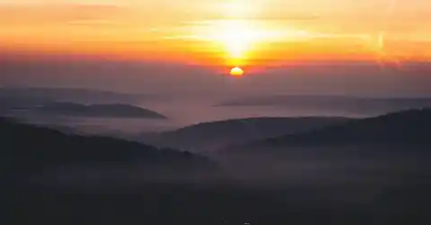 Hiker Notices Something Strange About Tree, Finds Connection To Missing Person