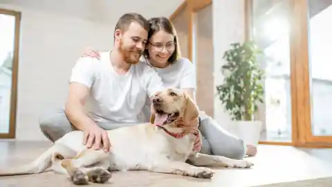 Wife Refuses To Shower Without Dog, Husband Checks Camera