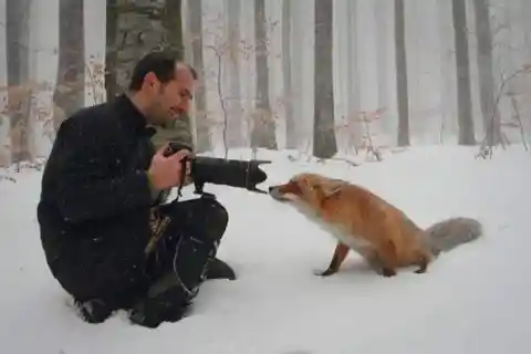 Camera For Dinner