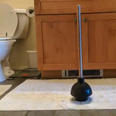 Picking The Right Plunger