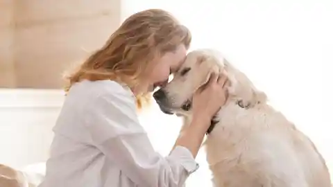 Mom Notices Dog Won’t Leave Trash Bag Alone, Finds Out Neighbor’s Secret