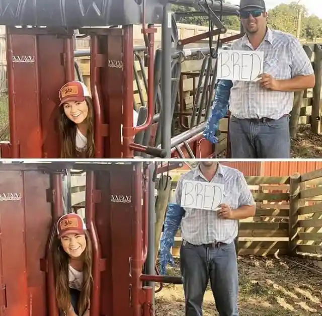 Farm Humor Is a Breed of Its Own