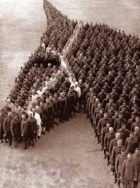 Thanking The Animals, 1918